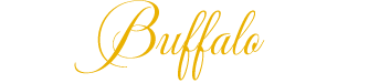 Buffalo Aircraft Appraisers